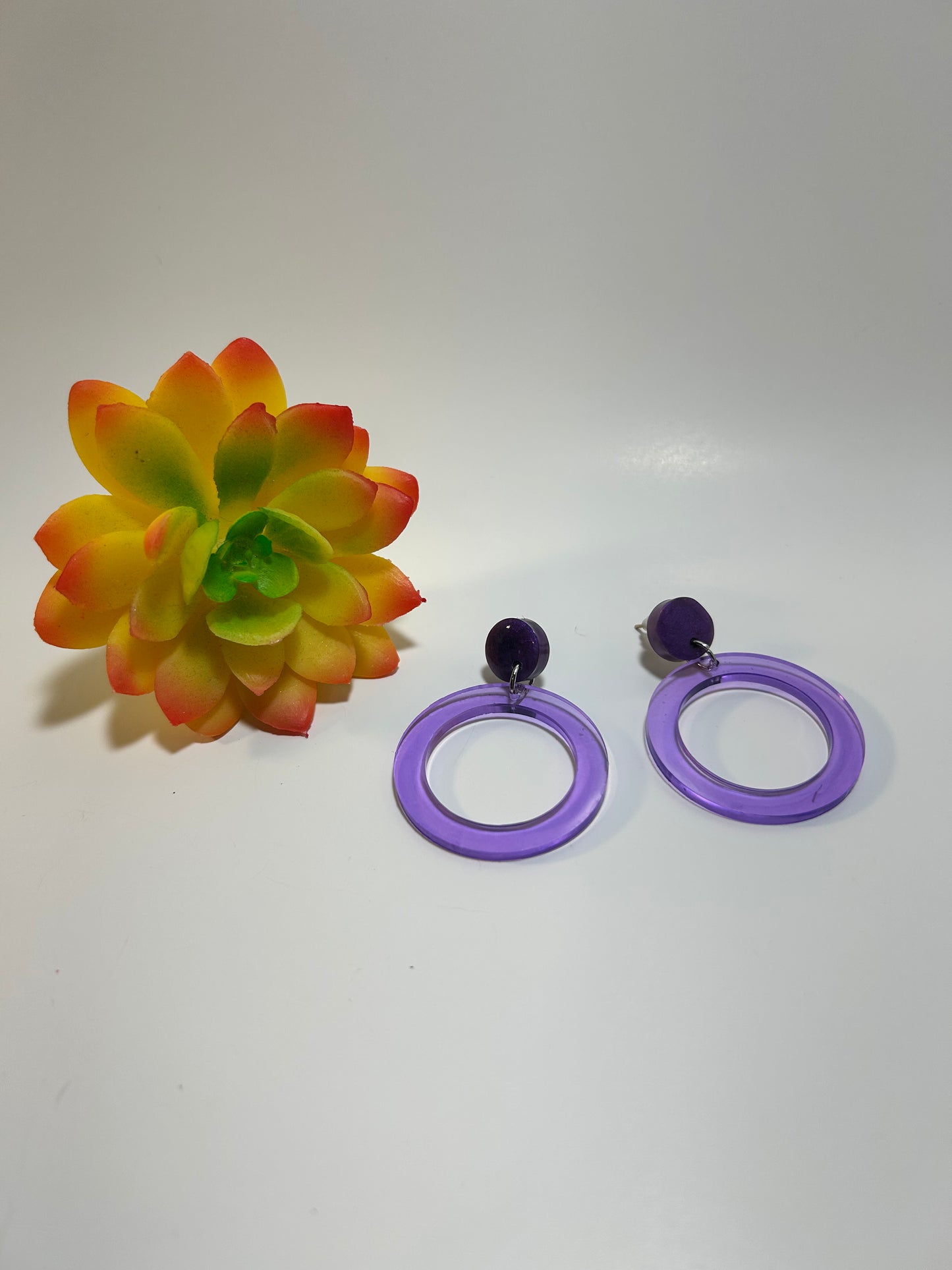 Circle Earrings