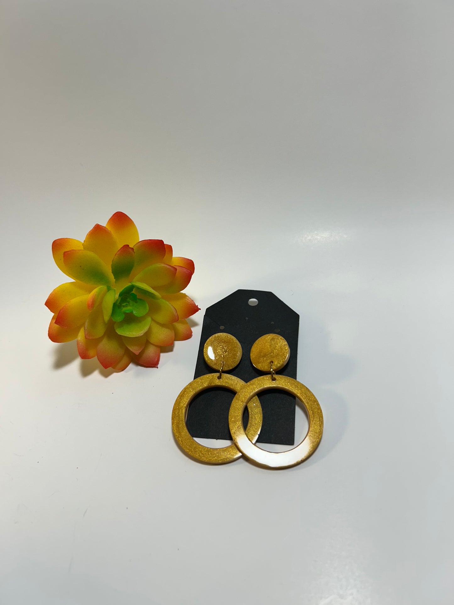 Circle Earrings