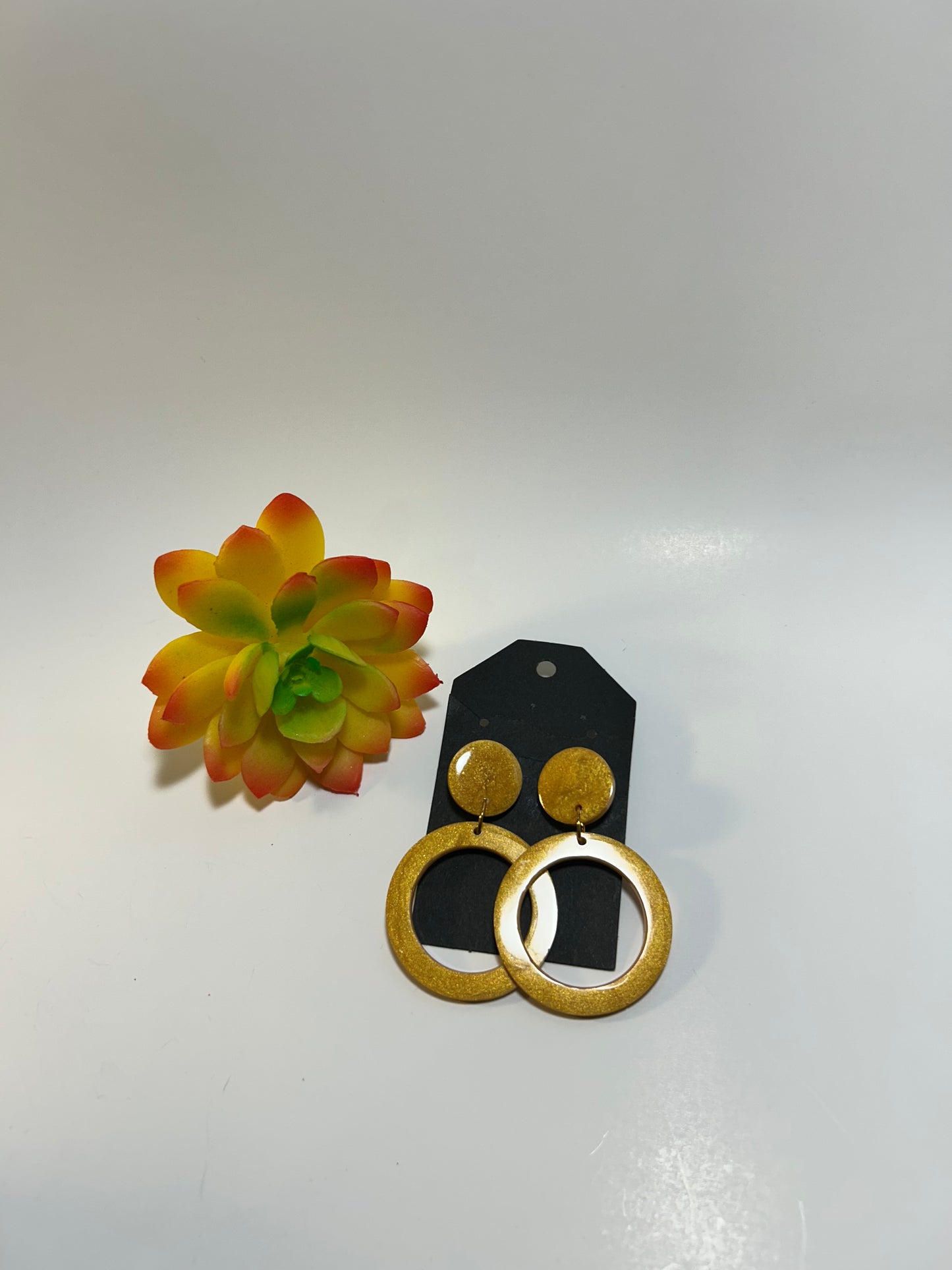 Circle Earrings